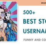 Best Stoner Usernames [Funny And Cool Ideas]