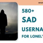 Sad Usernames for Lonely Souls: Digital Expression